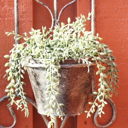 Kumlinge Stugor Camping Kumlinge